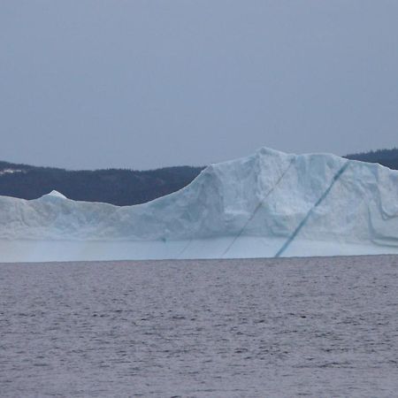 Tranquility Hill B & B Twillingate Exterior foto