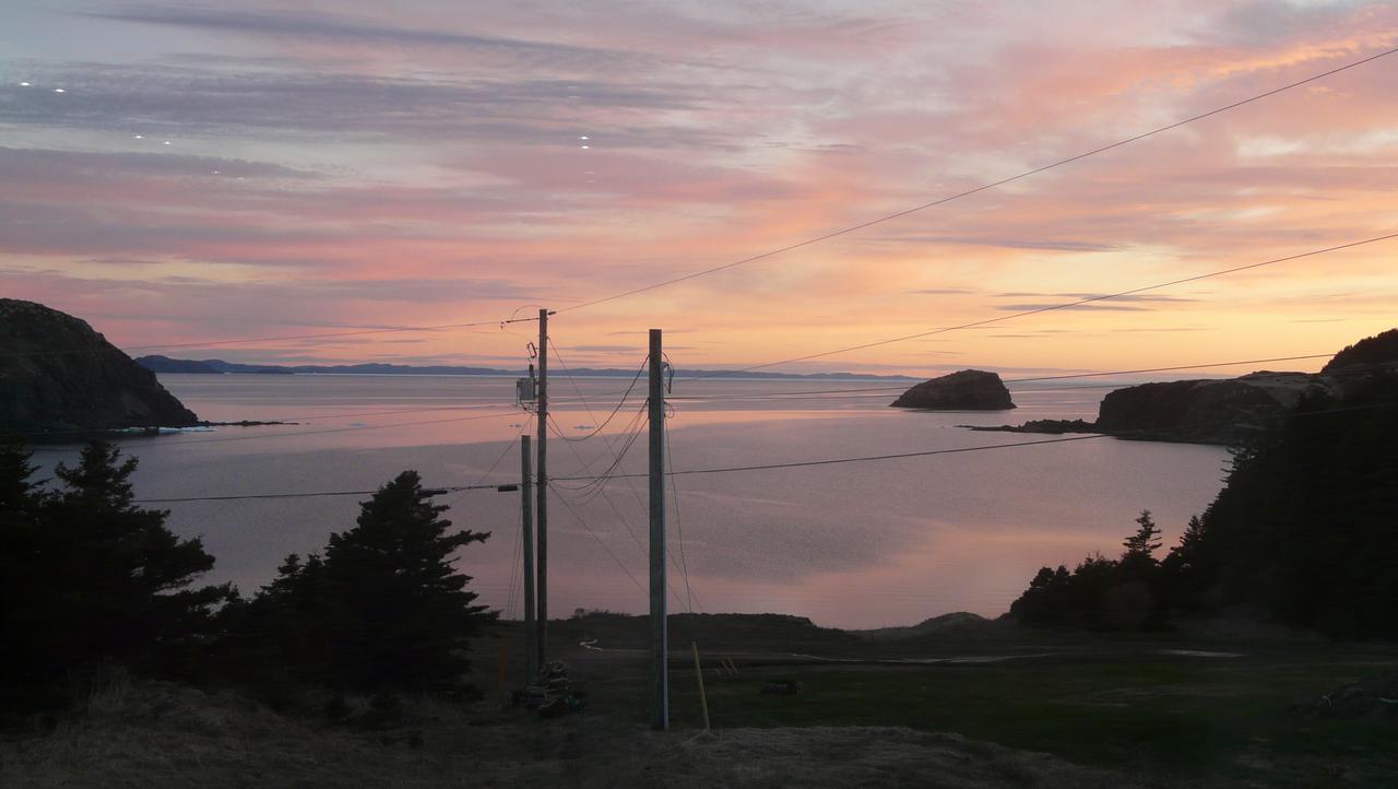 Tranquility Hill B & B Twillingate Exterior foto